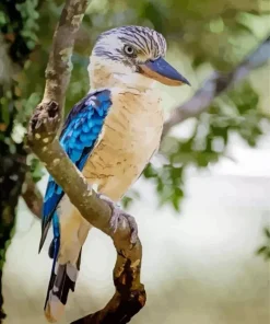 Blue Winged Kookaburra Diamond Painting