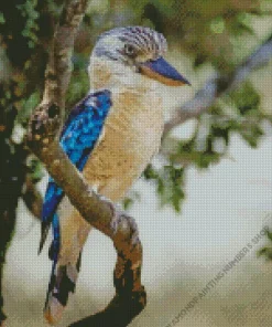 Blue Winged Kookaburra Diamond Painting