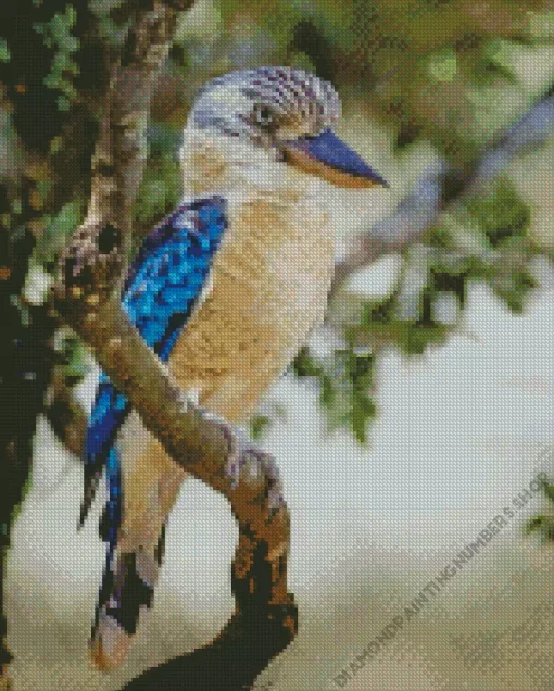 Blue Winged Kookaburra Diamond Painting