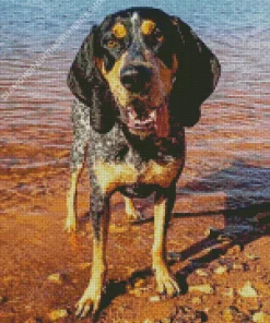 Bluetick Coonhound Diamond Painting