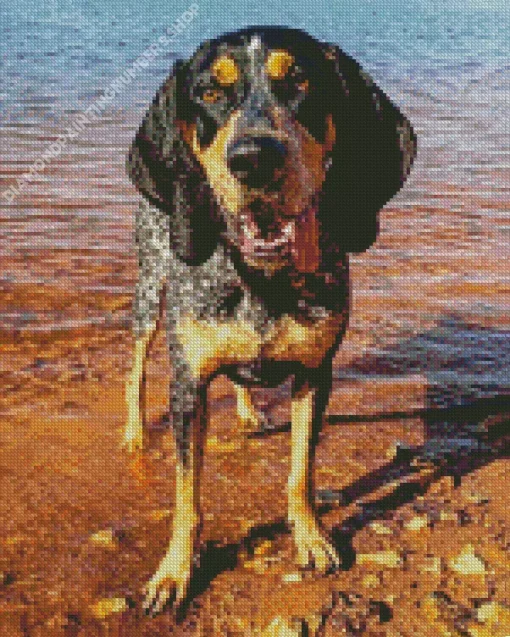 Bluetick Coonhound Diamond Painting