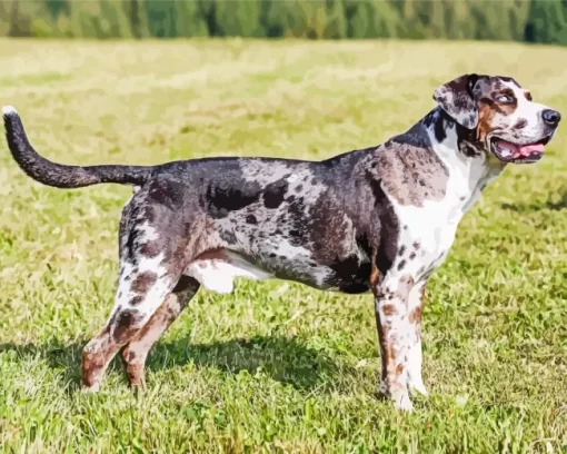 Catahoula Leopard Dog Diamond Painting