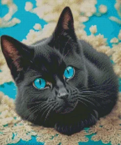 Cute Blue Eyed Black Cat Diamond Painting