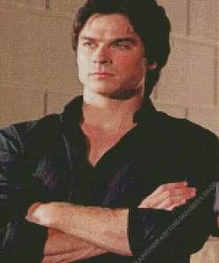 Damon Salvatore Diamond Painting