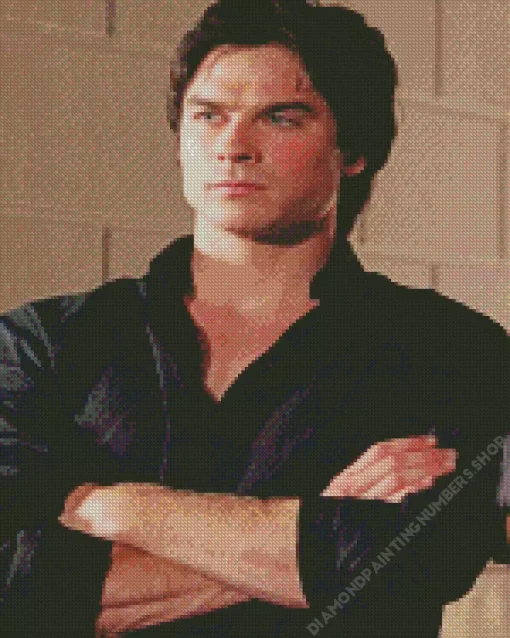 Damon Salvatore Diamond Painting
