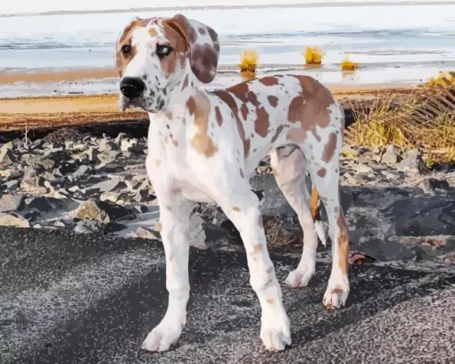 Fawnequin Great Dane Diamond Painting