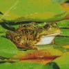 Frog And Lily Pad Diamond Painting