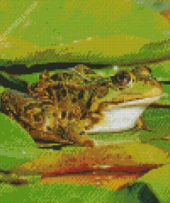 Frog And Lily Pad Diamond Painting