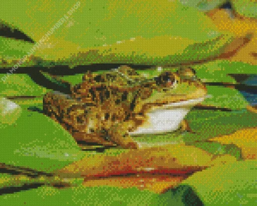 Frog And Lily Pad Diamond Painting