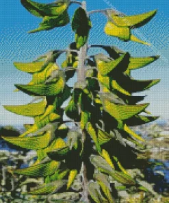 Green Birdflower Diamond Painting
