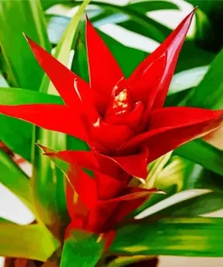 Guzmania Bromeliad Diamond Painting