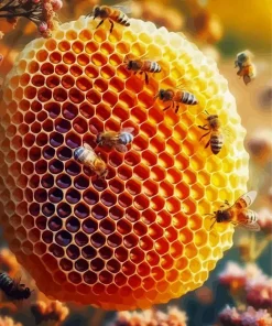 Honey Bee Hive Diamond Painting