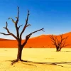 Kalahari Desert Diamond Painting
