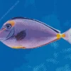 Purple Fish Diamond Painting