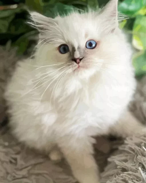Ragdoll Kitten Diamond Painting