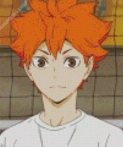 Shoyo Hinata Diamond Painting