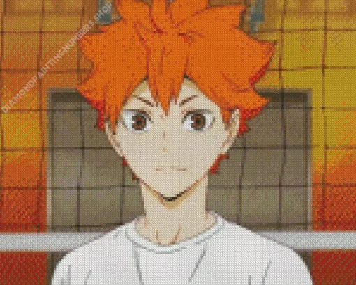 Shoyo Hinata Diamond Painting