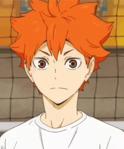 Shoyo Hinata Diamond Painting