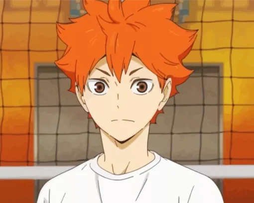 Shoyo Hinata Diamond Painting