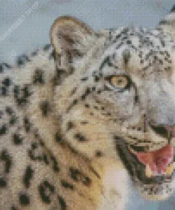Snow Leopard Diamond Painting