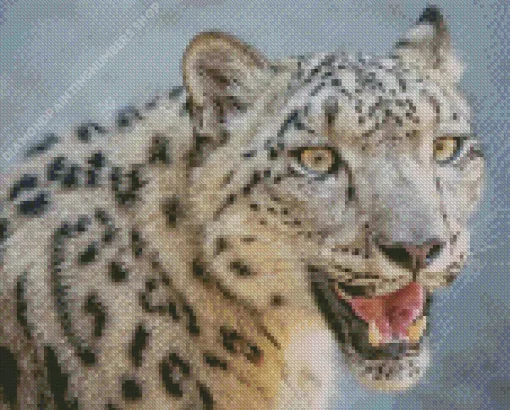 Snow Leopard Diamond Painting