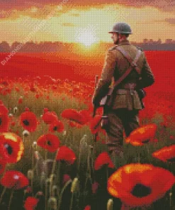 Soldier In Poppy Field Diamond Painting