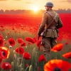Soldier In Poppy Field Diamond Painting