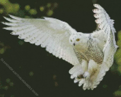 White Owl Diamond Painting