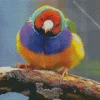 Yellow And Purple Bird Diamond Painting