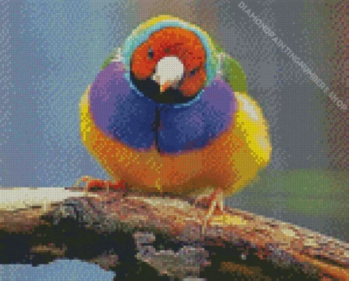 Yellow And Purple Bird Diamond Painting