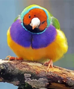 Yellow And Purple Bird Diamond Painting