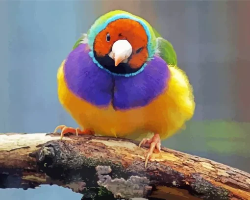 Yellow And Purple Bird Diamond Painting