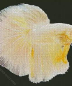 Yellow Betta Fish Diamond Painting