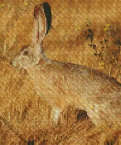 Black Tailed Jackrabbit Diamond Painting