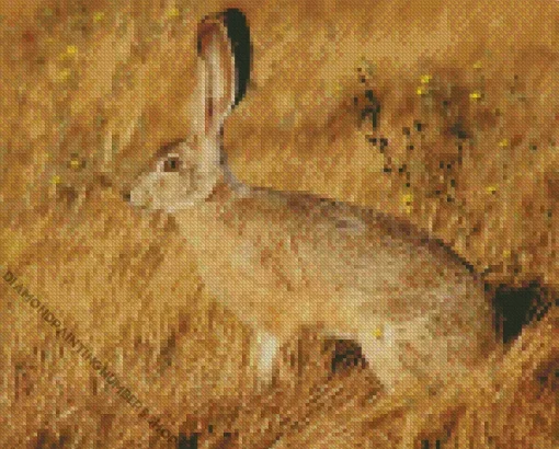 Black Tailed Jackrabbit Diamond Painting
