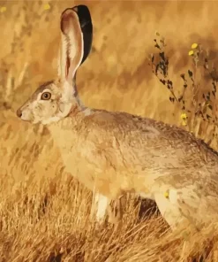 Black Tailed Jackrabbit Diamond Painting