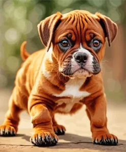 Brown Boxer Puppy Diamond Painting