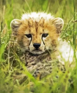 Cheetah Cub Diamond Painting