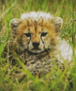Cheetah Cub Diamond Painting