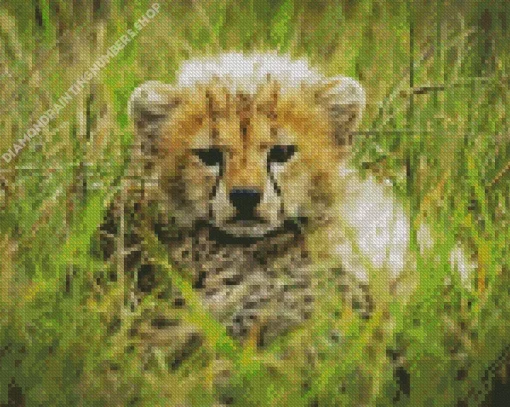 Cheetah Cub Diamond Painting