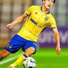 Daiki Hashioka Diamond Painting
