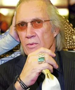David Carradine Diamond Painting