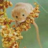 Eurasian Harvest Mouse Diamond Painting