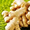 Ginger Plant Diamond Painting
