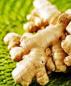 Ginger Plant Diamond Painting