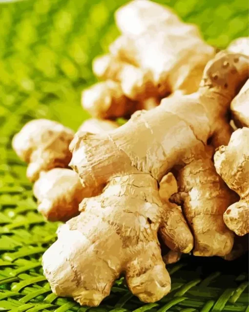 Ginger Plant Diamond Painting