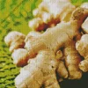 Ginger Plant Diamond Painting