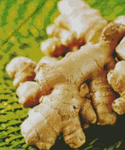 Ginger Plant Diamond Painting