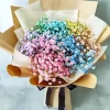 Rainbow Baby Breath Bouquet Diamond Painting