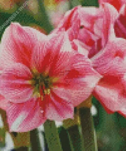 Amaryllis Flower Diamond Painting